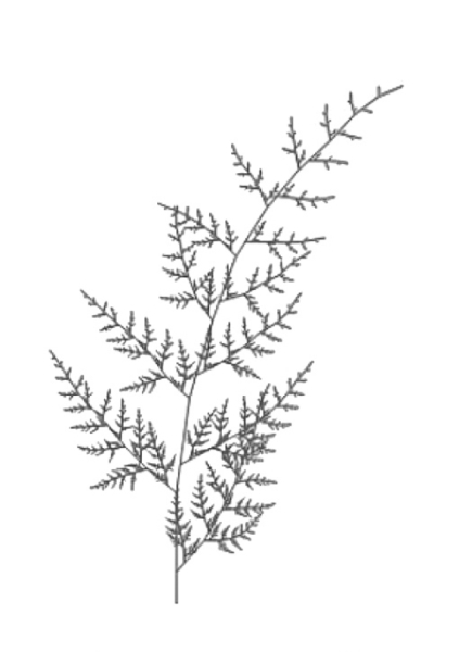 Фрактал Барнсли: чёткие канонические итерации Фрактал Барнсли: чёткие канонические итерации