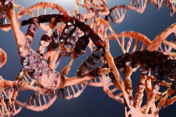 Скорость вашего старения может контролироваться&hellip;