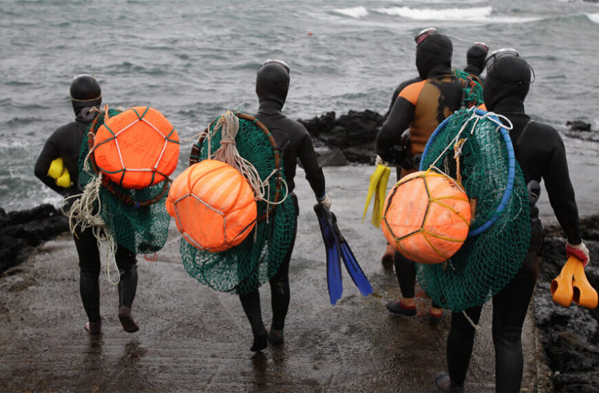 Кореанские дайверы: Рекордсмены по подводному&hellip;