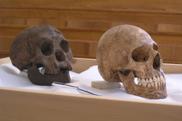 Хоббиты, похищающие детей. Что за&nbsp;карликовый народ жил в&nbsp;доисторические времена на&nbsp;Флоресе?