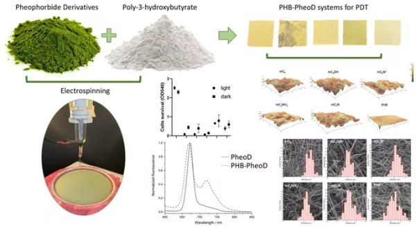 Создана новая полимерная система доставки&hellip;