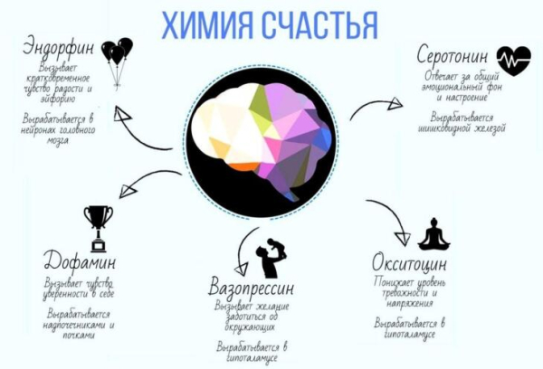 Почему дофамин — не «гормон&hellip;