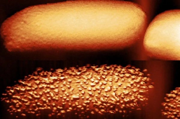 Необычные фотографии показывают, как обычный&hellip;