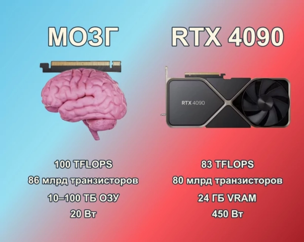 Мозг и мультимодальные нейросети как генераторы виртуальной реальности 5 95dcd15f2cfb93bd52dd4c728649e129