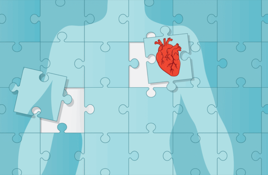 Трансплантация: что это такое, определение&hellip;