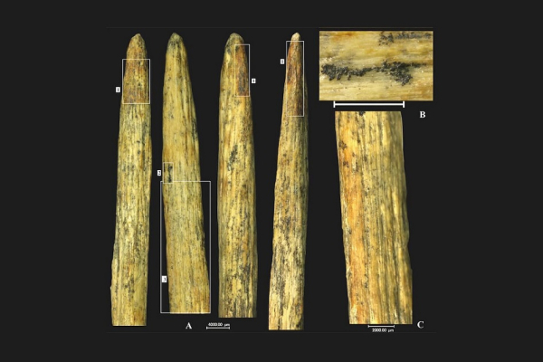 В России обнаружили уникальный древний артефакт возрастом 80 тысяч лет В России обнаружили уникальный древний артефакт возрастом 80 тысяч лет
