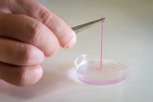 Гидрогелевая нить, изготовленная по технологии REFRESH.