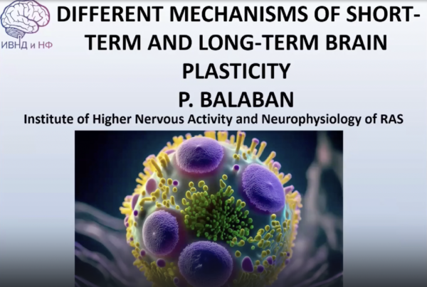 Различные механизмы кратковременной и долговременной пластичности мозга. Лекция Павла Балабана 1 adabced0f04c067f93160a677d9249e5.png