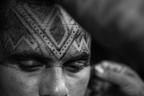 О пользе приема психоделиков после травм головы, полученных во время занятий спортом, пока что мало что известно.