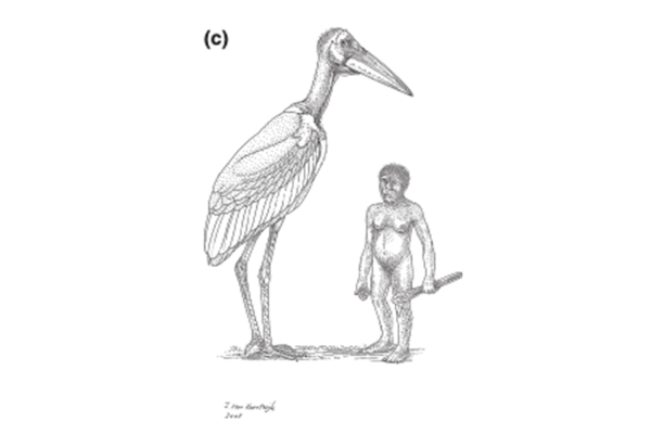 Хоббиты, похищающие детей. Что за&nbsp;карликовый народ жил в&nbsp;доисторические времена на&nbsp;Флоресе?