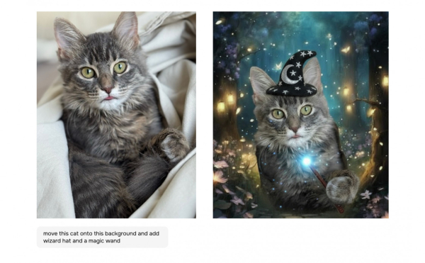 cccf78ec47142b631e62e3983d349a18