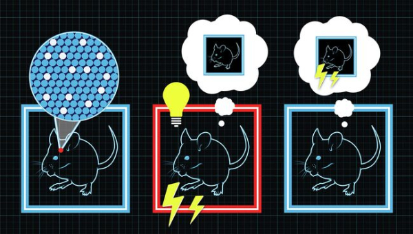 Наш мозг постоянно редактирует и перезаписывает ваши воспоминания 2 cd030d0cb676e12c755ad839dab33ee6.jpg