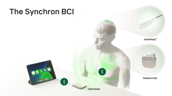 Есть Neuralink, а есть компания, читающая мысли, которая может его превзойти 7 Изображение может содержать изображение лица и головы взрослого человека, планшетного компьютера, электроники и компьютера.