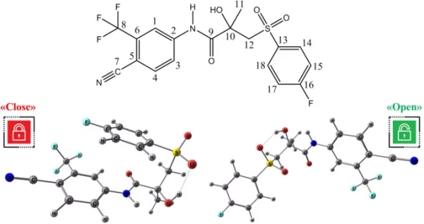 Сверхкритический флюид поможет «настраивать» пространственную структуру противоопухолевых препаратов 2 d3b42603f8171a2c7ad239fc805eb948.jpg