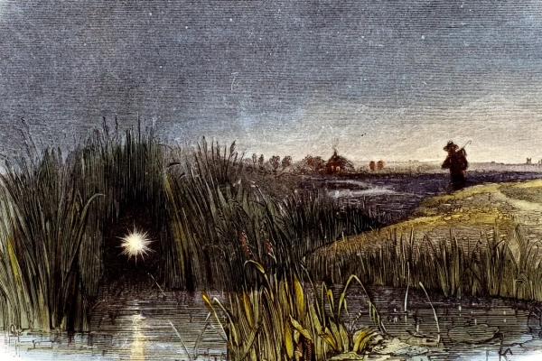 Мы, наконец, можем узнать, что&hellip;