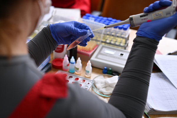 СОЭ, D-димер и копрограмма. Какие&hellip;