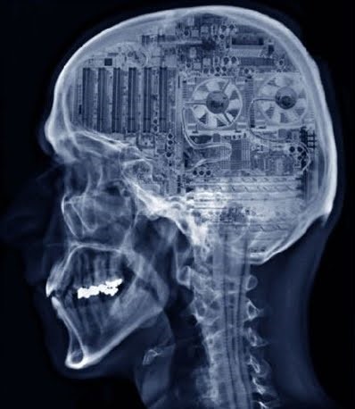 Мозг и мультимодальные нейросети как генераторы виртуальной реальности 8 e89523a94b046ea59ec1686a997972ad