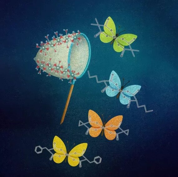 Российские учёные создали новые гибридные&hellip;