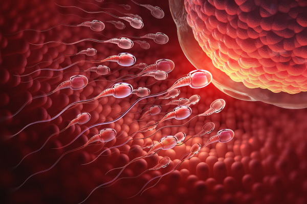 Ученые нашли нанопластик в сперме. Чем он опасен?