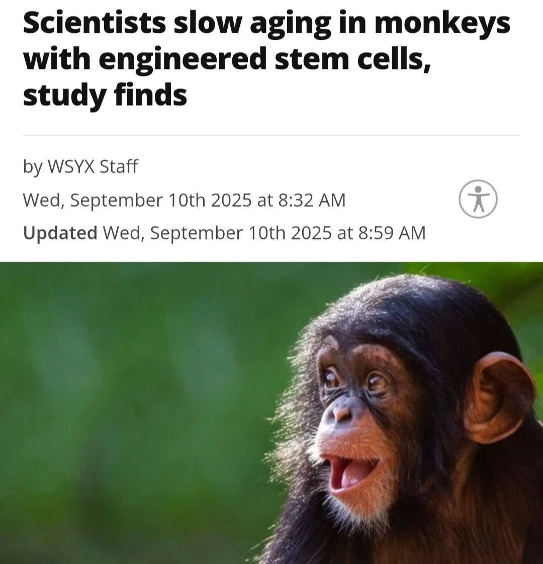 Победа над старением Ученые обратили старение обезьян вспять, омолодив животных... 3 file_542.jpg