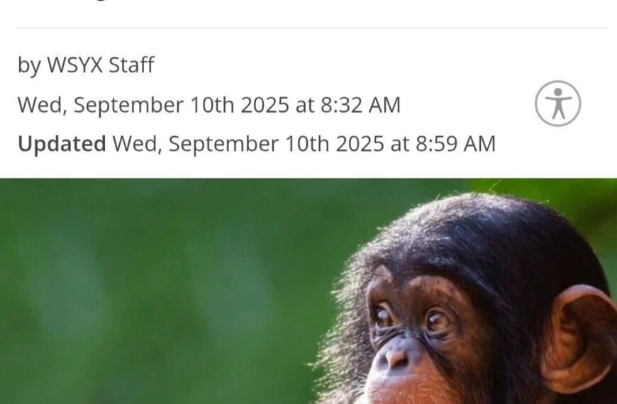 Ученые ПОБЕДИЛИ СТАРОСТЬ Нет, это&hellip;