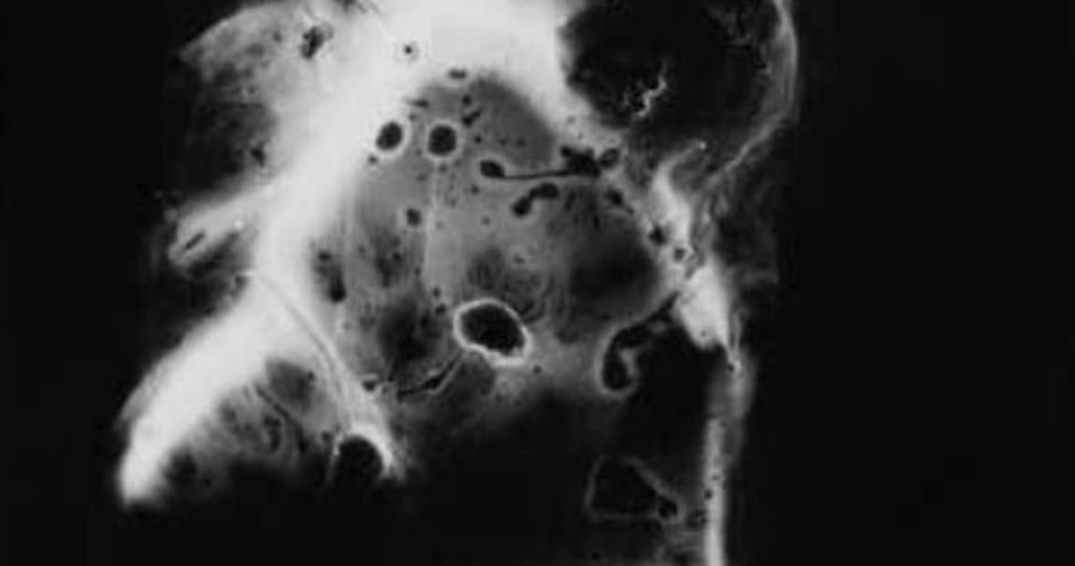 Экономический дайджест: за 60 секунд вокруг ИИ Ключевые факты: -... 2 file_566.jpg