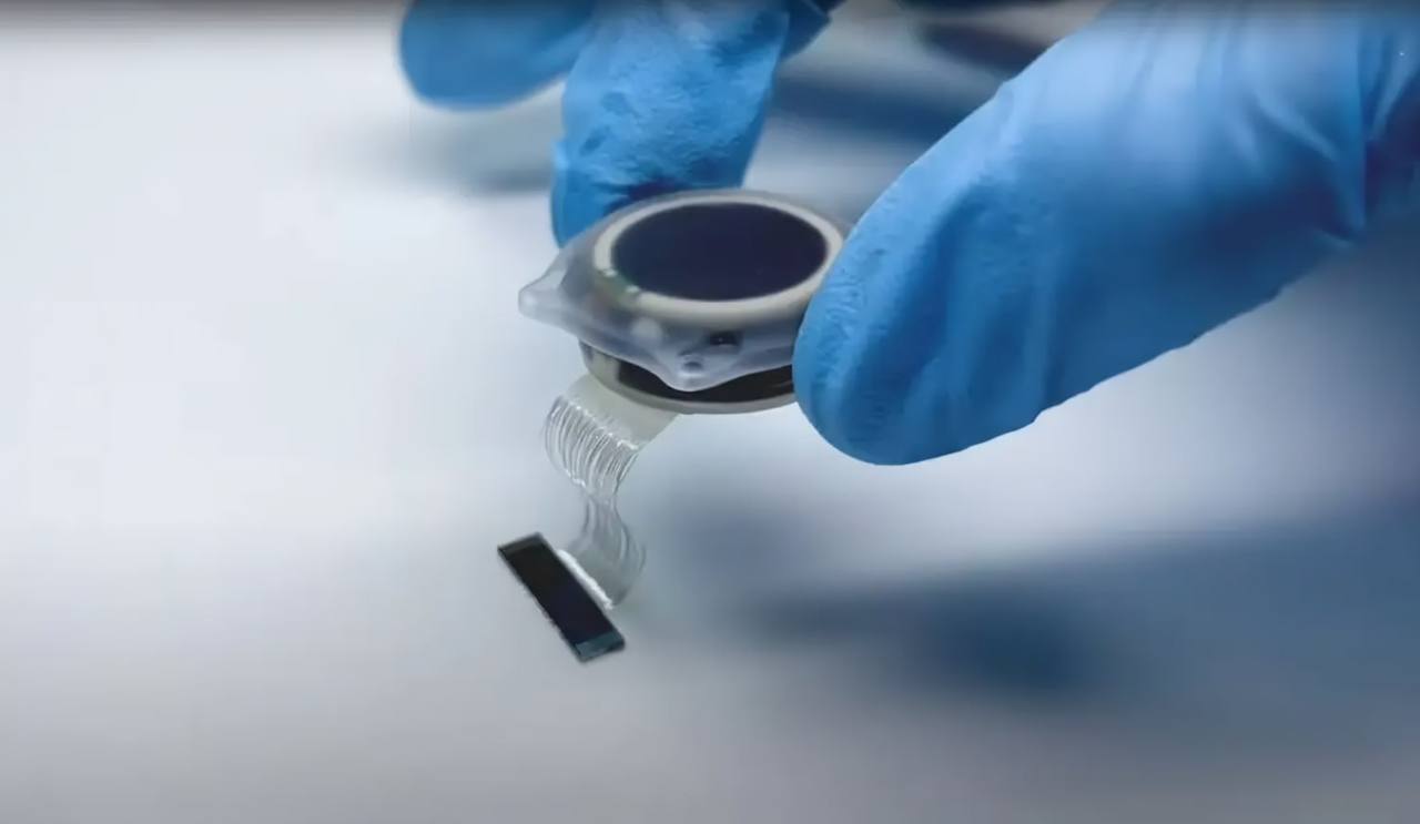 Neuralink в деле. В октябре пройдут клинические испытания чипа Neuralink,... 3 file_568.jpg