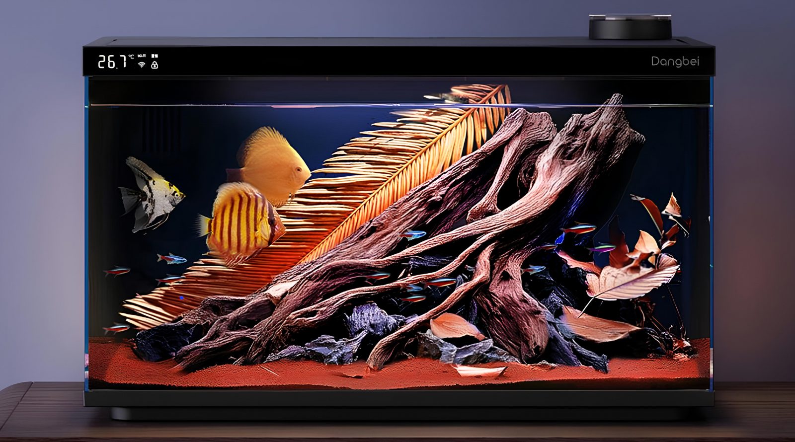 IFA 2025: аквариум будущего от Dangbei 3 ifa-2025-akvarium-budushhego-ot-dangbei-98c9660.jpg