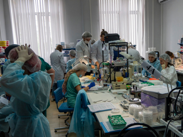 На спутнике «Бион-М»№2 вернулись живыми 65 из 75 мышей 2 На спутнике «Бион-М»№2 вернулись живыми 65 из 75 мышей