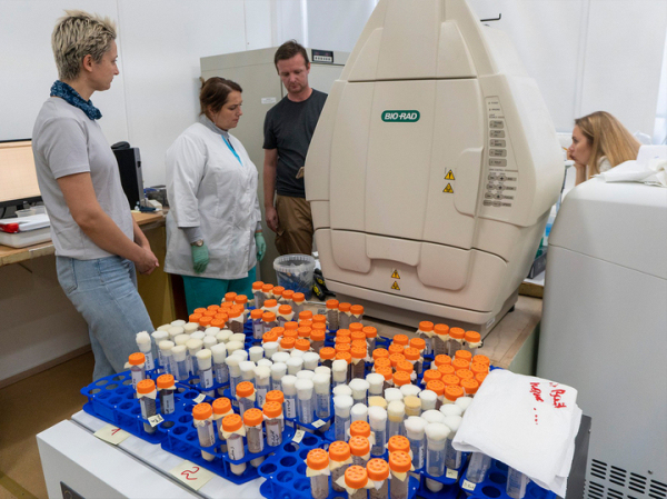 На спутнике «Бион-М»№2 вернулись живыми 65 из 75 мышей 3 На спутнике «Бион-М»№2 вернулись живыми 65 из 75 мышей