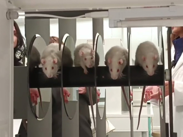 Российские ученые рассказали, как испытывают&hellip;