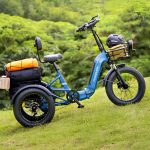 tryohkolyosnyj-velosiped-rottweiler-1