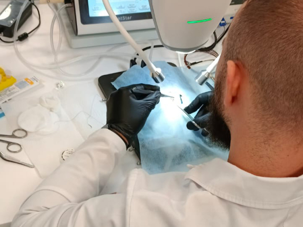 В России получили вещество, снижающее степень поражения сердца при инфаркте