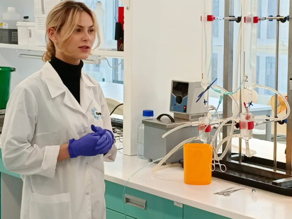 В России получили вещество, снижающее степень поражения сердца при инфаркте