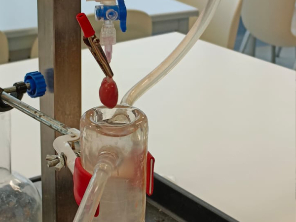 В России получили вещество, снижающее степень поражения сердца при инфаркте