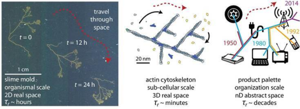 01cfa709e10986d4ffd345ef09b8a144