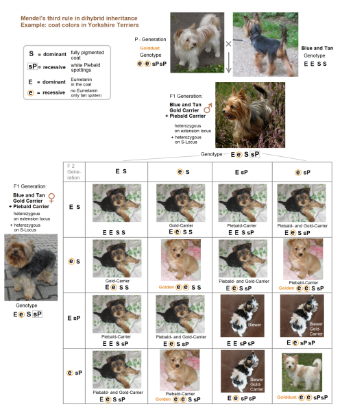 03de54beede6c2bada0cc22bebc97b0b