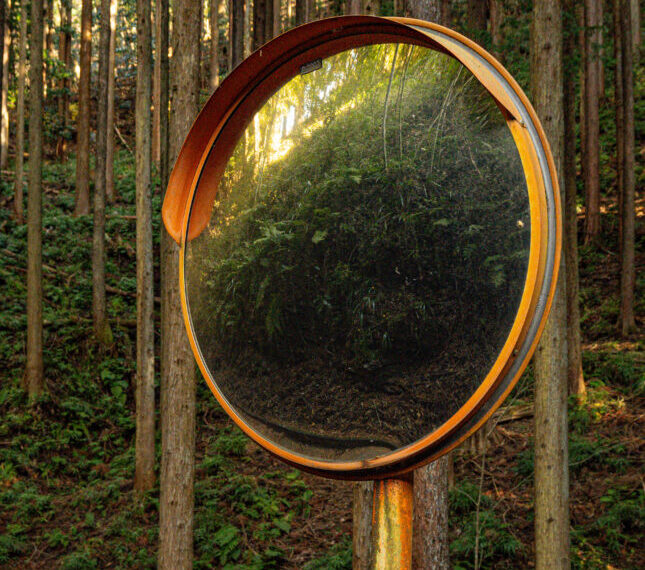 Мнение: STAT+: Четыре причины, по&hellip;