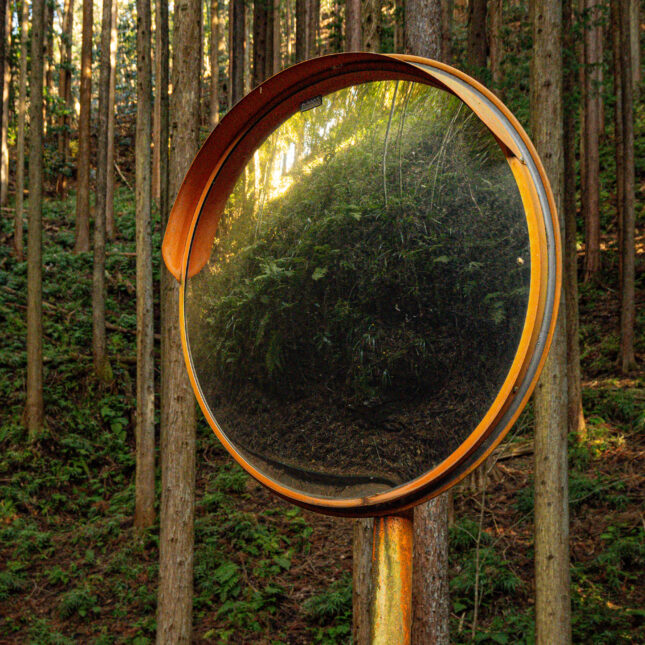 Мнение: STAT+: Четыре причины, по которым чат-боты с генеративным ИИ могут привести к психозу у уязвимых людей 1 0502edad6dabb9e5f0cf9db92ae76b0b.jpg