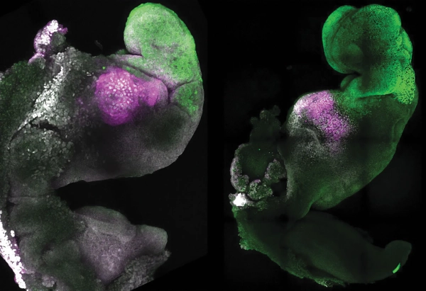 06eff8e39beae7de7b37936f68afc880