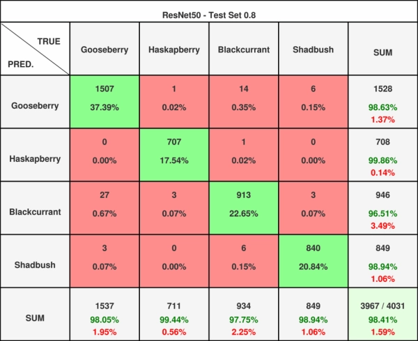 Визуальная классификация пыльцы с использованием сверточных нейронных сетей и Vision Transformers 13 081ad15b8d68981747ceb1db95b301a4