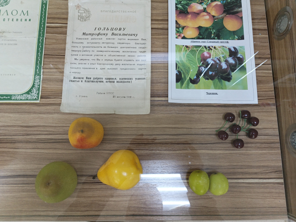 0a49247147ee997deb99dc810d3feb36