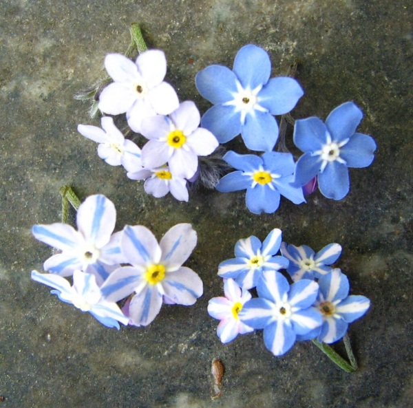 0b929c366140a66a8876b93c817efb72