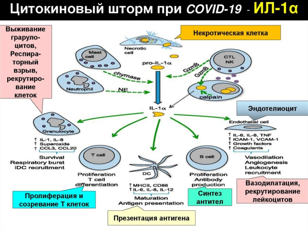 0dbb83070bed5ff7837eebfceeda9d3e