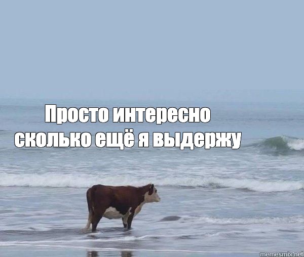 12937f31ad4809370e16c82e641e7f78