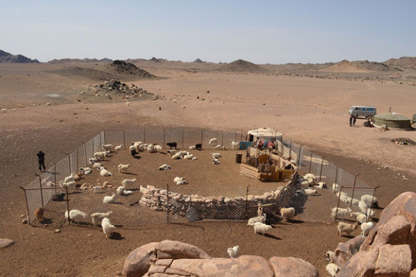 149e3dd364df8de9f37e835271937eb6