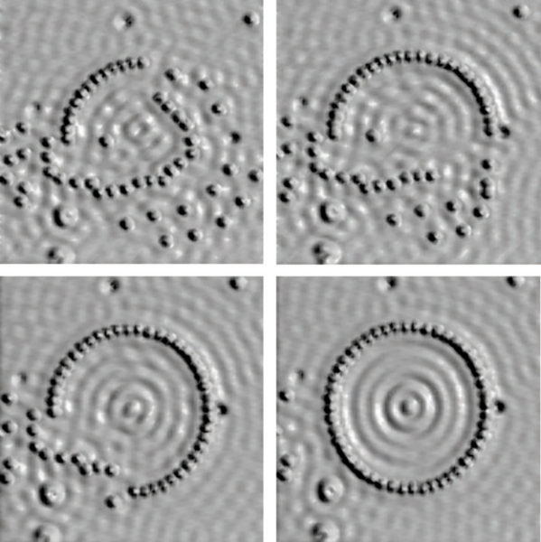 1558406781a190caba96f930e2607736