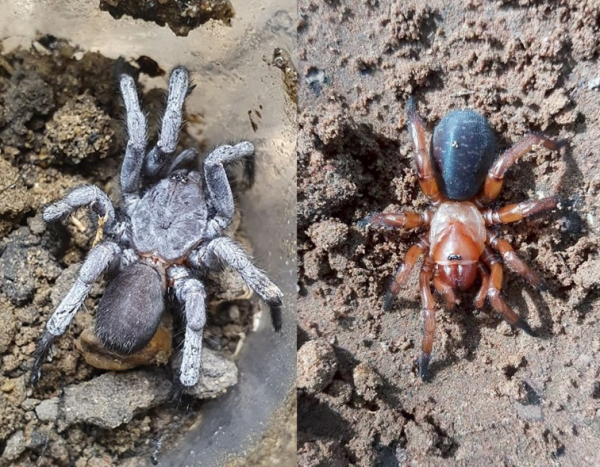 160c21cddca1b21842a800ee2d9921cf