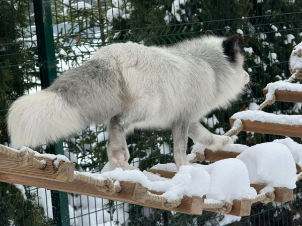 177230d8cc67f1c78a47eac69e951167