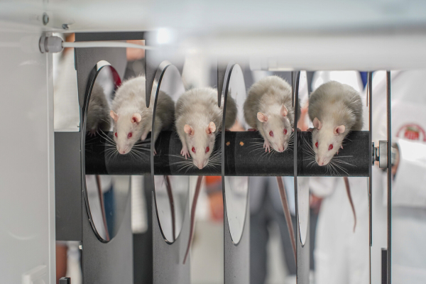 Уникальный антидепрессант и препараты от&hellip;